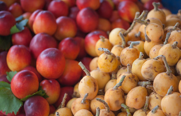 Malta Plums