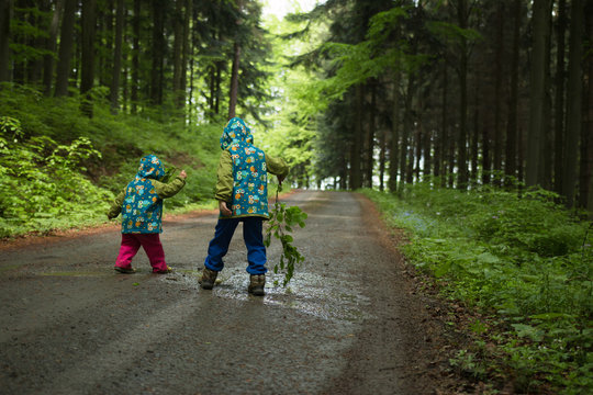 Two kids playing on the forrest road