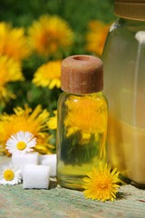 honig aus löwenzahn