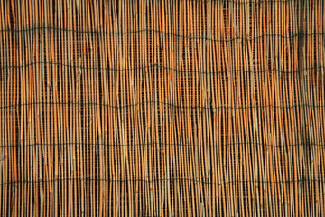 bamboo texture