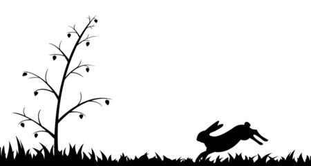 Silhouette of hare in the grass. © sergey89rus