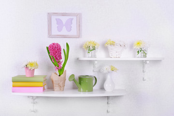 Flower on shelves on white wall background