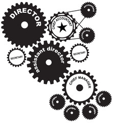 Structure of the company