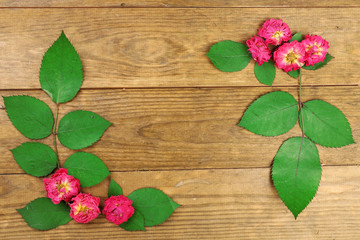 Beautiful dry flowers and leaves on wooden background
