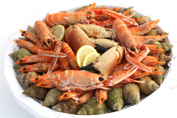 Fuits de mer