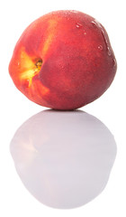 Nectarine fruits over white background