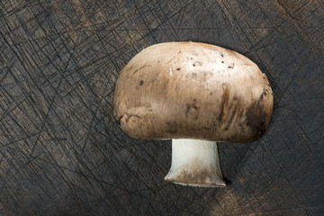 Mushrooms on wooden table