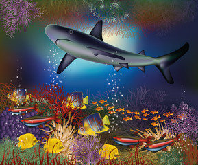Underwater wallpaper with shark and tropical fish, vector