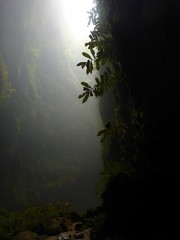dark and light misty jungle canyon