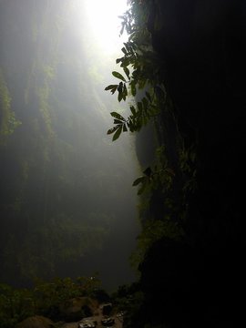 Dark And Light Misty Jungle Canyon