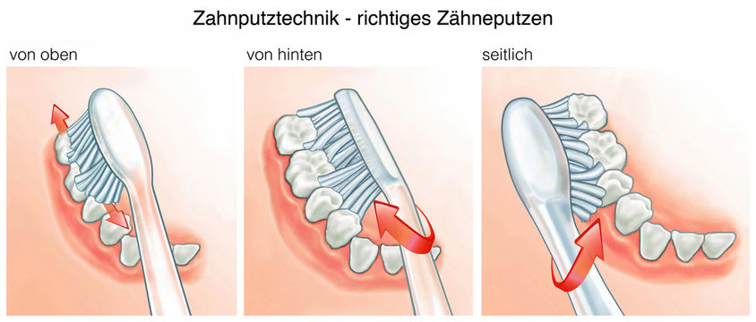 Zahnputztechnik.Richtiges Z&auml;hneputzen