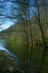 Forest and river. Montseny Natural Park. Spain