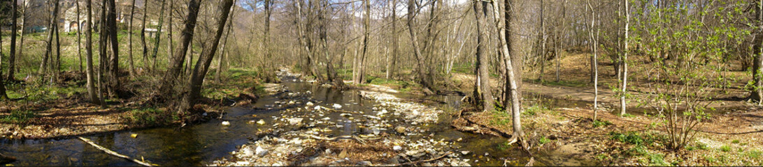 Panoramic forest. Natural park Montseny. Spain