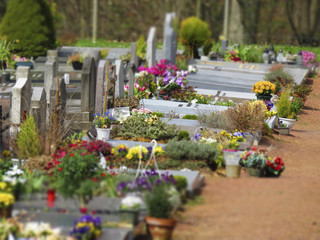 Cimetière effet tilt shift