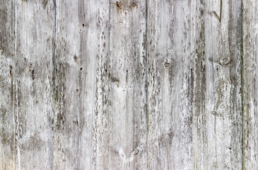 The old wood texture with natural patterns