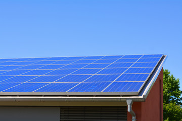 Fototapeta premium Solar plant