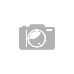Simple camera icon.
