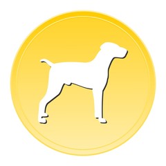 Dog Gold Icon