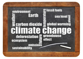 climate change word cloud on blackboard