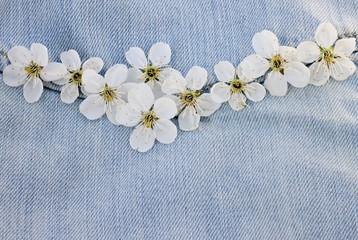 spring orchard blossom on denim fabric background