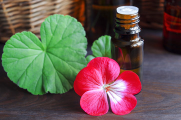 Essential geramium oil