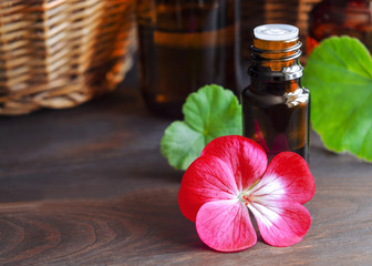 Essential geramium oil