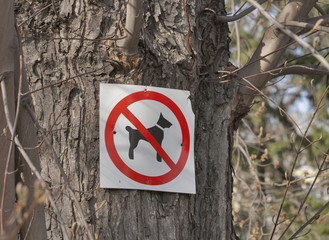 No dogs plate on the tree