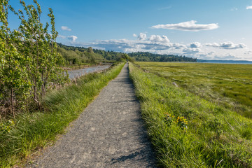 Fototapeta na wymiar Path At Theler Wetlands in Belfair, Washington.