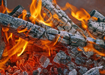 burning firewood in mongale Barbecue