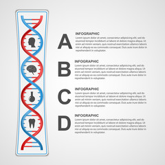 Infographics in the DNA helix form. Vector design element.