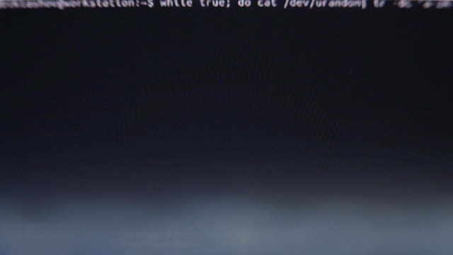 Hacker run the spy program. The virus code scroll on the screen