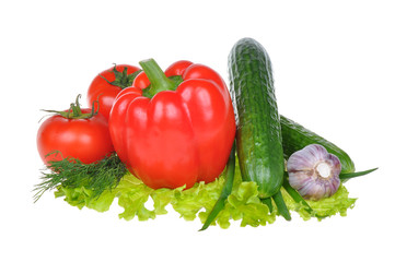 vegetables on  white background