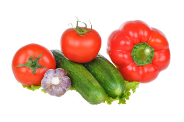 vegetables on  white background