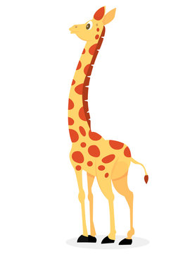 Cartoon Giraffe Looking Back