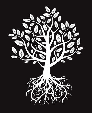 White vector tree and roots