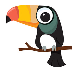 Little Cute Toucan Cartoon Character