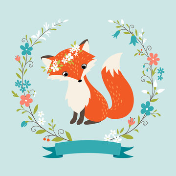 Summer fox
