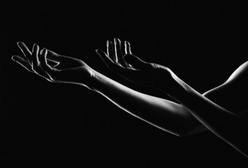 The outline of a beautiful female hand on a black background - obrazy, fototapety, plakaty