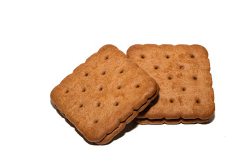 Close up chocolate biscuit