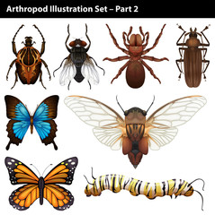 Arthropods