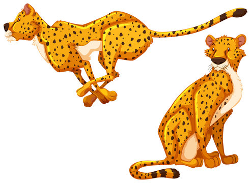 Cheetah Cartoon Images – Browse 12,427 Stock Photos, Vectors, and Video | Adobe Stock Cheetah Cartoon Images – Browse 12,427 Stock Photos, Vectors, and Video | Adobe Stock