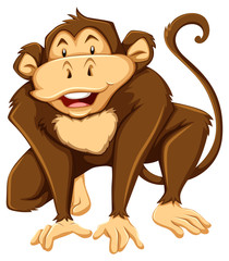 Monkey