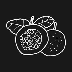 Passion Fruit doodle