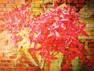 Ixora Flower on Red Brick wall texture