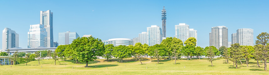 Fototapeta na wymiar Landscape park prospects the Yokohama Minato Mirai 21 buildings