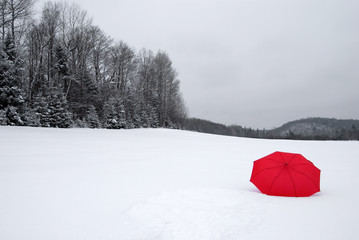 Abstract Red Umbrella in a Snow Covered Field