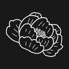 flower doodle