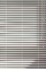 Background of closed wooden venetian blinds