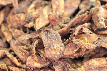 Dry squid