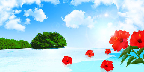 海　ハイビスカス　背景 © J BOY